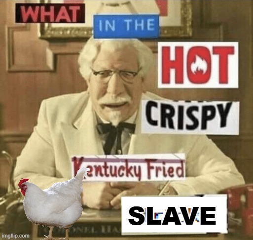 what in the hot crispy kentucky fried frick | SLAVE | image tagged in what in the hot crispy kentucky fried frick | made w/ Imgflip meme maker