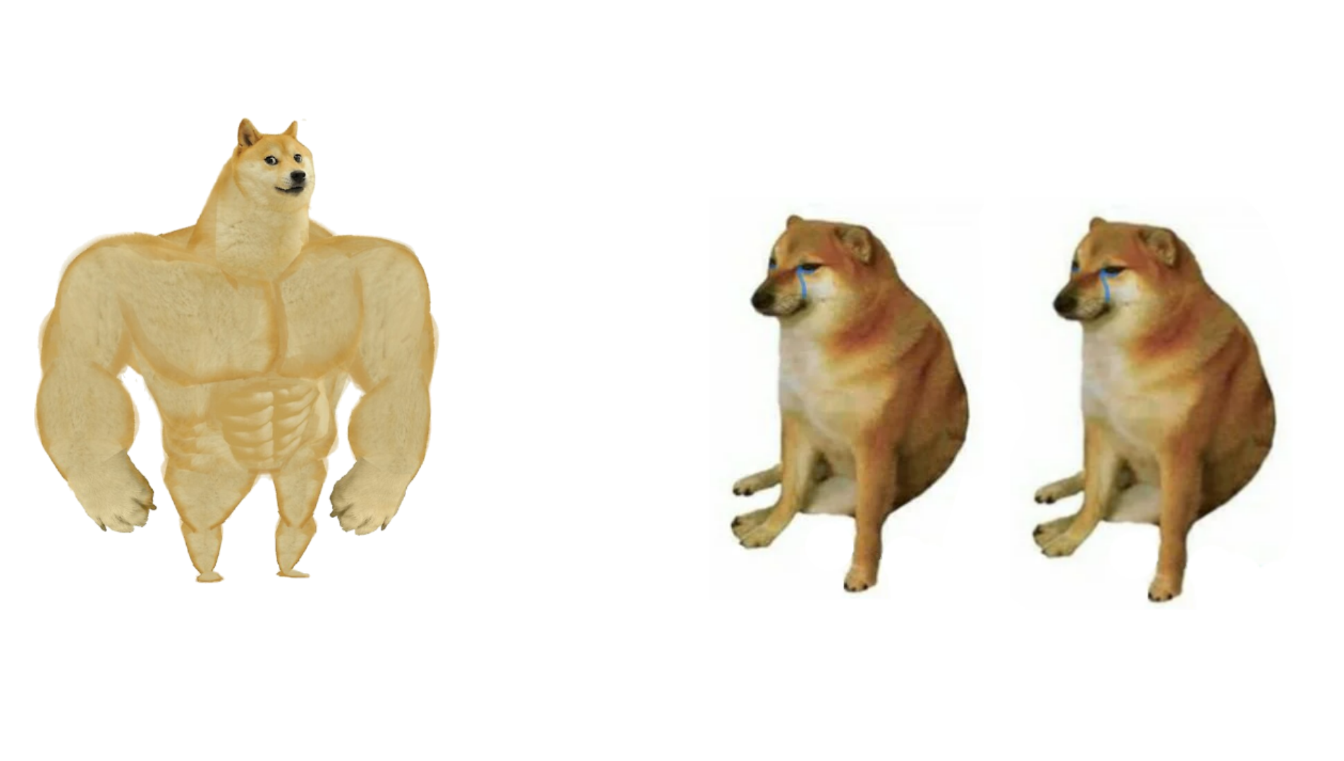 Buff doge and two cheems Blank Meme Template