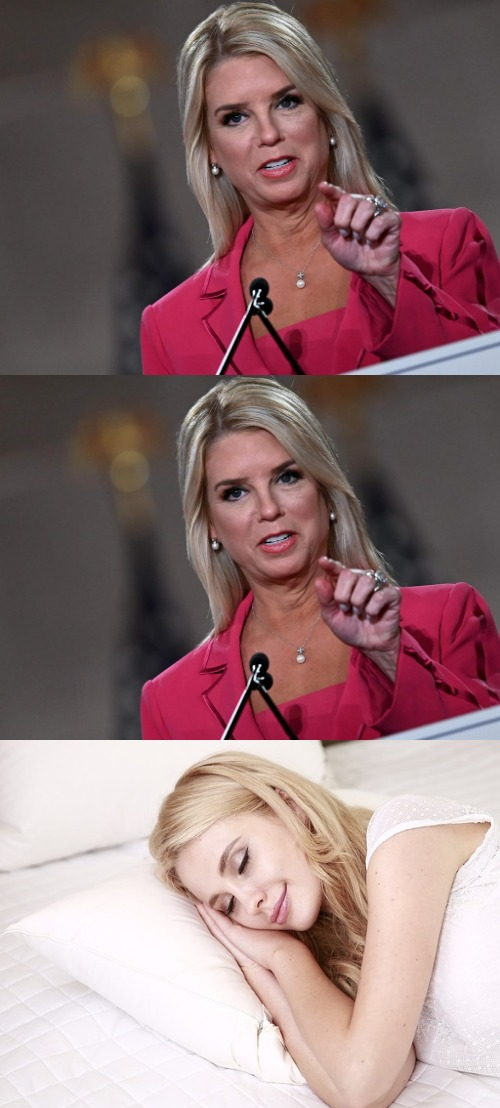 Pam Bondi sleepy Blank Meme Template