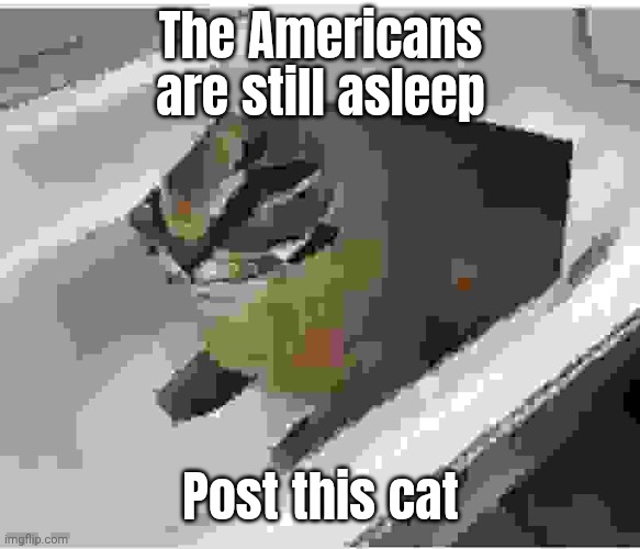 Get the tunes on | The Americans are still asleep; Post this cat | image tagged in low quality floppa | made w/ Imgflip meme maker