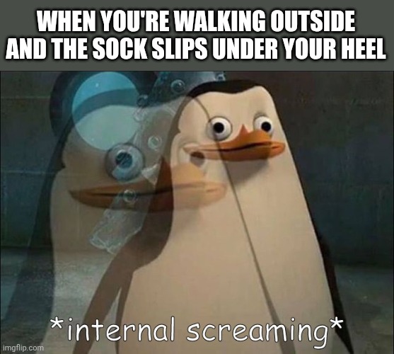 Private Internal Screaming | WHEN YOU'RE WALKING OUTSIDE AND THE SOCK SLIPS UNDER YOUR HEEL | image tagged in private internal screaming | made w/ Imgflip meme maker