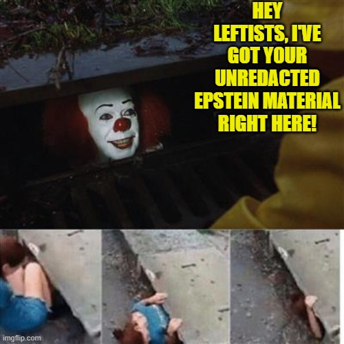 Seriously, you KNOW that some leftists would fall for that. | HEY LEFTISTS, I'VE GOT YOUR UNREDACTED EPSTEIN MATERIAL RIGHT HERE! | image tagged in pennywise in sewer | made w/ Imgflip meme maker
