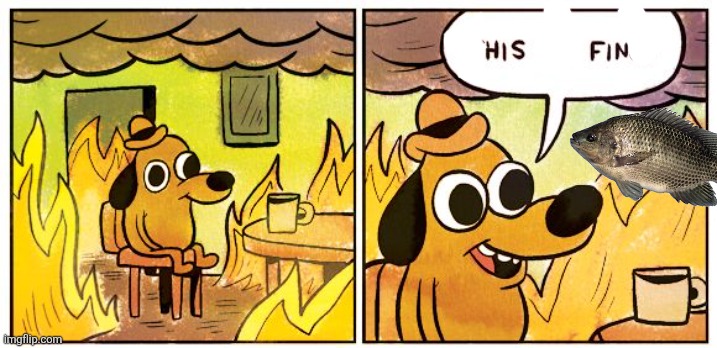 His Fin | image tagged in memes,this is fine,fin,fish | made w/ Imgflip meme maker