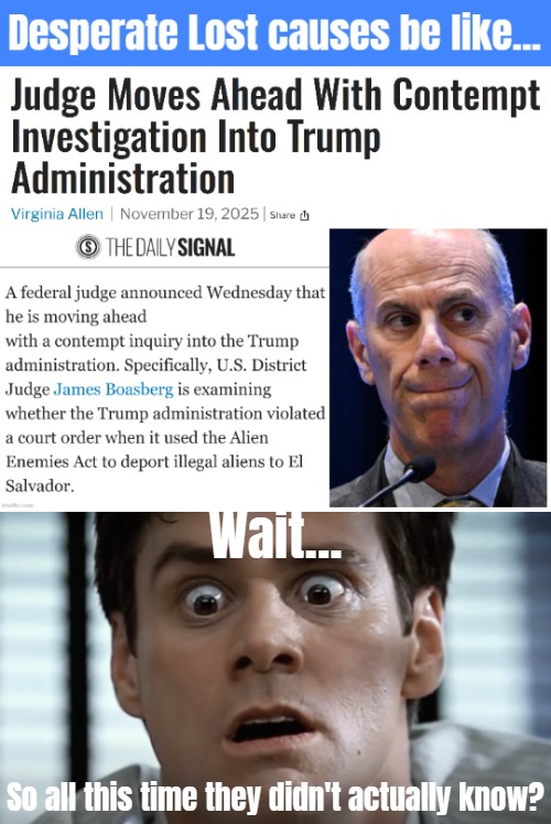 Dems: "Alright, so Epstein Attack Part 1 failed miserably..." | Wait... So all this time they didn't actually know? | image tagged in democrats,american politics,sarcasm,donald trump | made w/ Imgflip meme maker