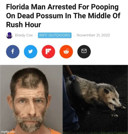 image tagged in possum,news | made w/ Imgflip meme maker