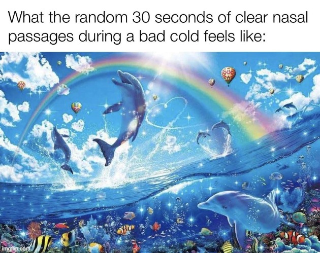 do i need a title | image tagged in cough | made w/ Imgflip meme maker