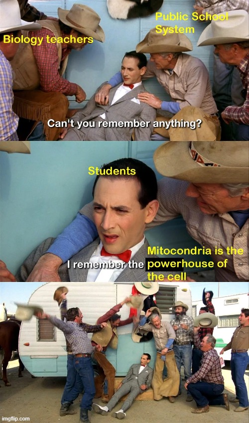 image tagged in teacher core | made w/ Imgflip meme maker