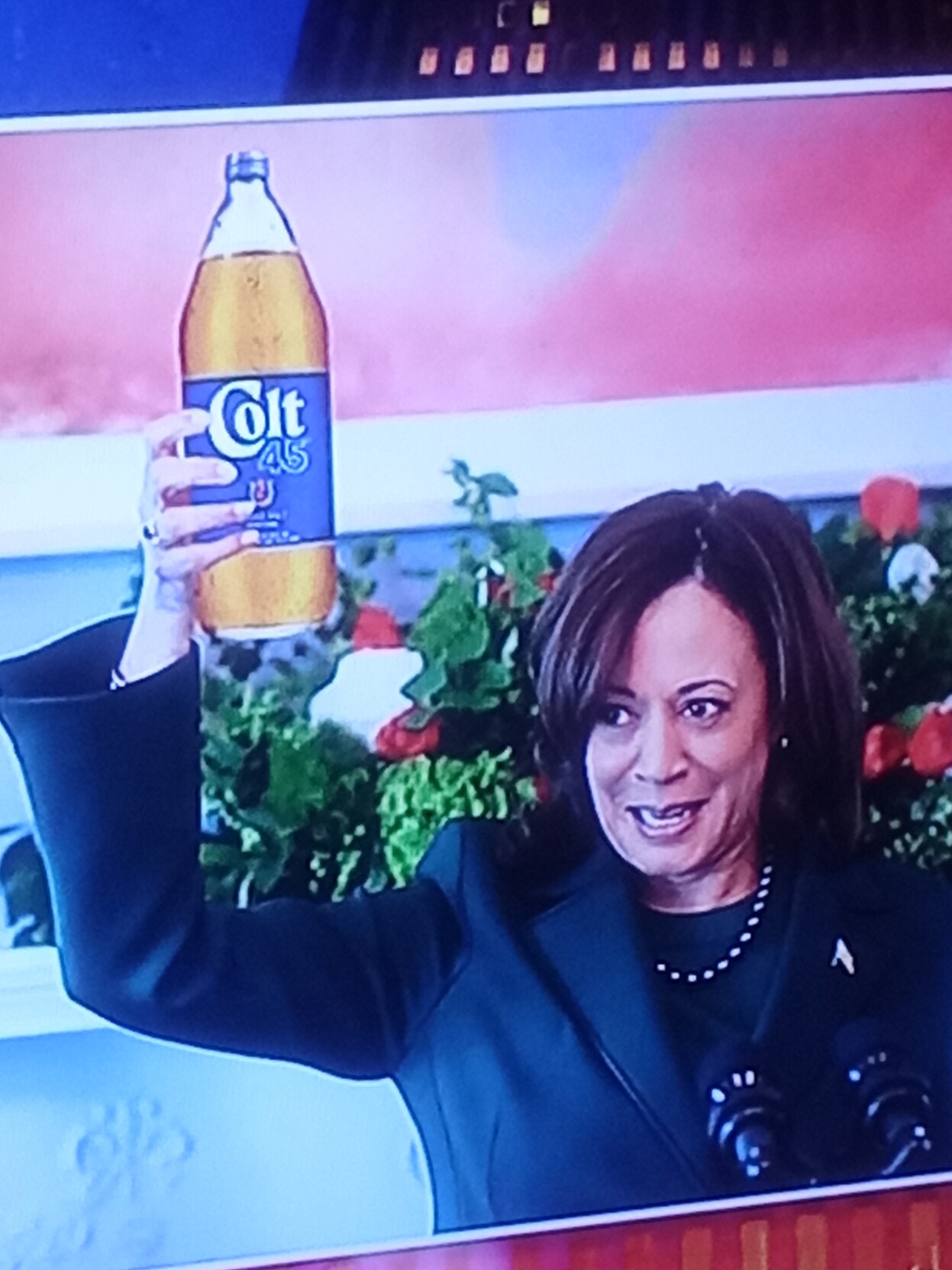 Kamala Harris Blank Meme Template