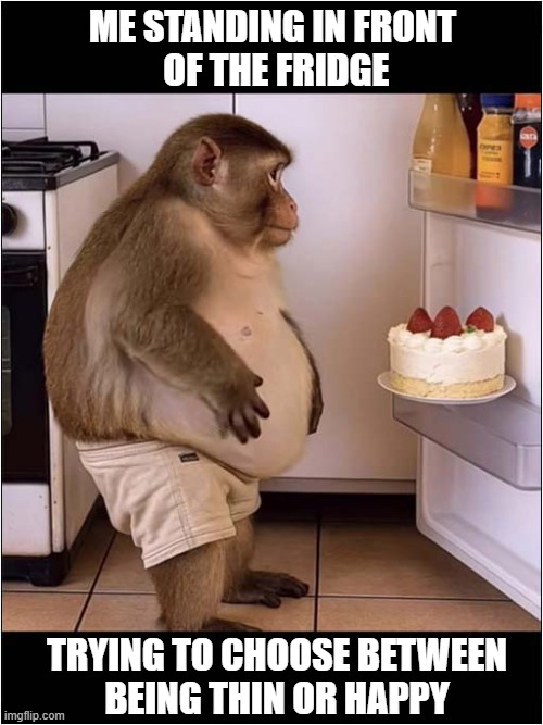 Decisions, Decisions ... | ME STANDING IN FRONT
 OF THE FRIDGE; TRYING TO CHOOSE BETWEEN
BEING THIN OR HAPPY | image tagged in decisions decisions,fridge,cake,thin,happy | made w/ Imgflip meme maker