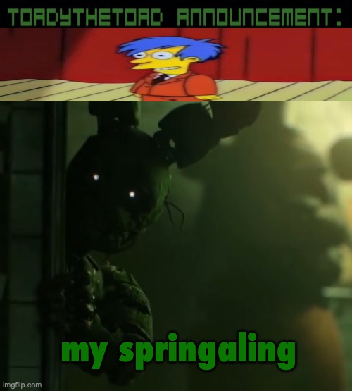 why did I think this was funny | my springaling | image tagged in toady announcement template | made w/ Imgflip meme maker