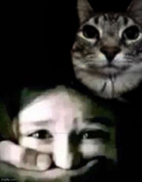 Cat holding hostage | image tagged in cat holding hostage | made w/ Imgflip meme maker
