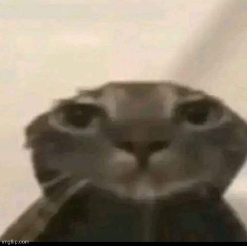 gng how am i to tell my boyfriend i don’t like pet names :heartbreak: | made w/ Imgflip meme maker