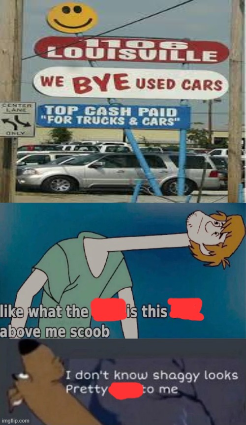 YOU FAILED. BIG TIME | image tagged in long neck shaggy and scooby-doo | made w/ Imgflip meme maker