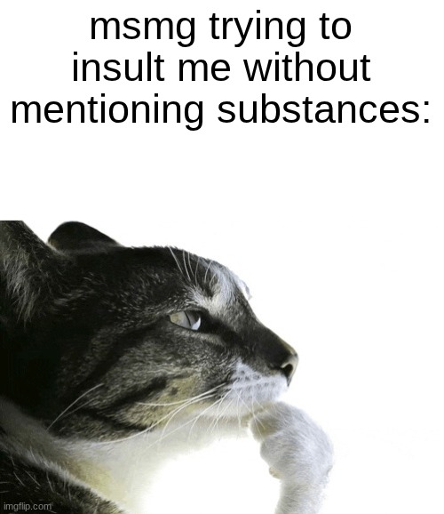 msmg trying to insult me without mentioning substances: | image tagged in cat pondering cat meme | made w/ Imgflip meme maker