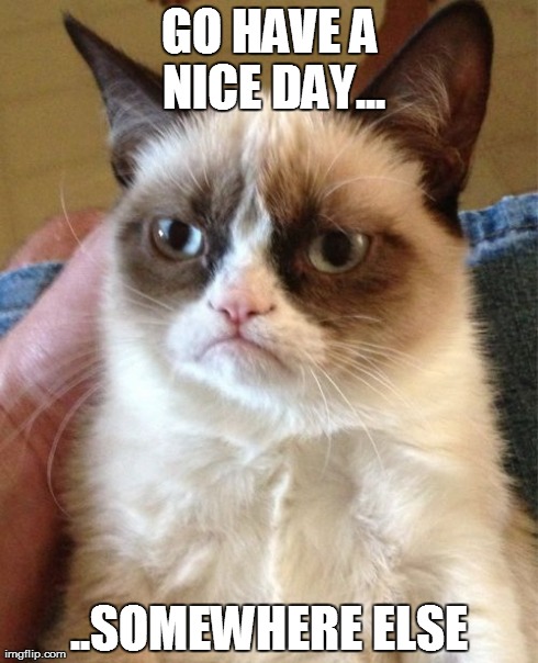 Grumpy Cat | GO HAVE A NICE DAY... ..SOMEWHERE ELSE | image tagged in memes,grumpy cat | made w/ Imgflip meme maker