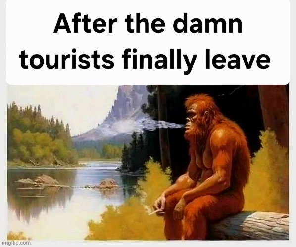 KermitRocks | image tagged in yeti,memes,funny | made w/ Imgflip meme maker