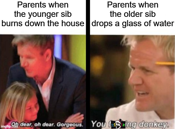 Gordon Ramsey meme | Parents when the younger sib burns down the house; Parents when the older sib drops a glass of water | image tagged in gordon ramsey meme,funny,memes | made w/ Imgflip meme maker