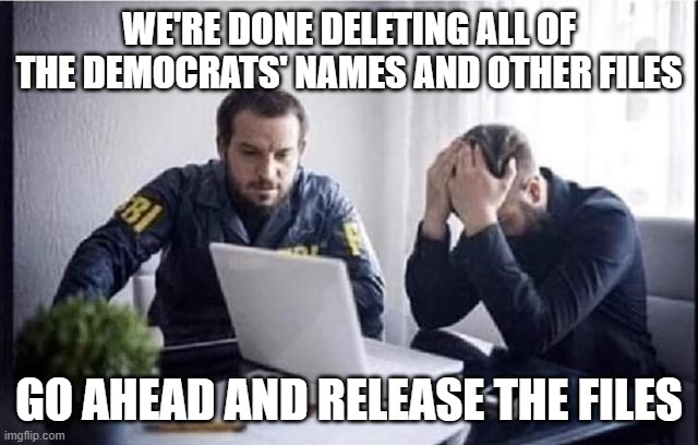 FBI Guys | WE'RE DONE DELETING ALL OF THE DEMOCRATS' NAMES AND OTHER FILES GO AHEAD AND RELEASE THE FILES | image tagged in fbi guys | made w/ Imgflip meme maker