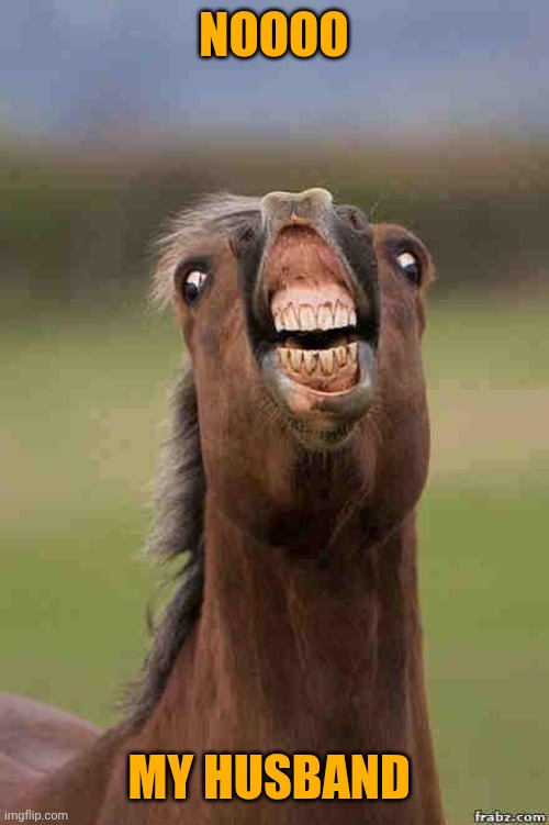 horse face | NOOOO MY HUSBAND | image tagged in horse face | made w/ Imgflip meme maker