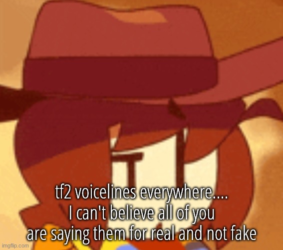 qhat | tf2 voicelines everywhere.... I can't believe all of you are saying them for real and not fake | image tagged in qhat | made w/ Imgflip meme maker