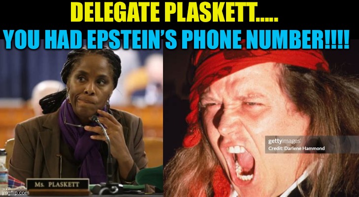 Democrats pointed fingers…..at themselves | DELEGATE PLASKETT….. YOU HAD EPSTEIN’S PHONE NUMBER!!!! | image tagged in gifs,democrats,democratic socialism,jeffrey epstein,hypocrites | made w/ Imgflip meme maker