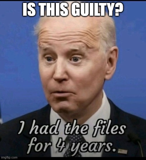 IS THIS GUILTY? | made w/ Imgflip meme maker
