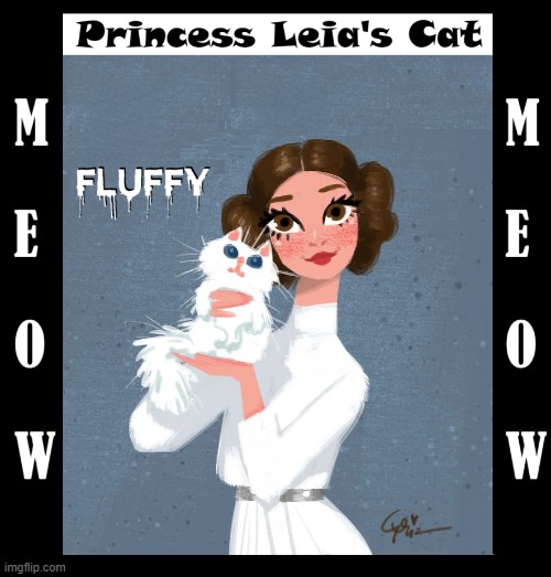 Leia always wore white to cover up the cat hair | made w/ Imgflip meme maker