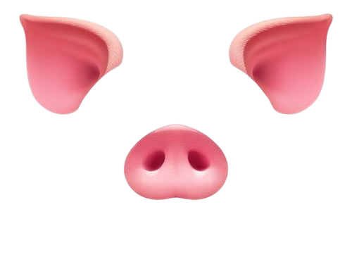 Snout and Ears Blank Meme Template