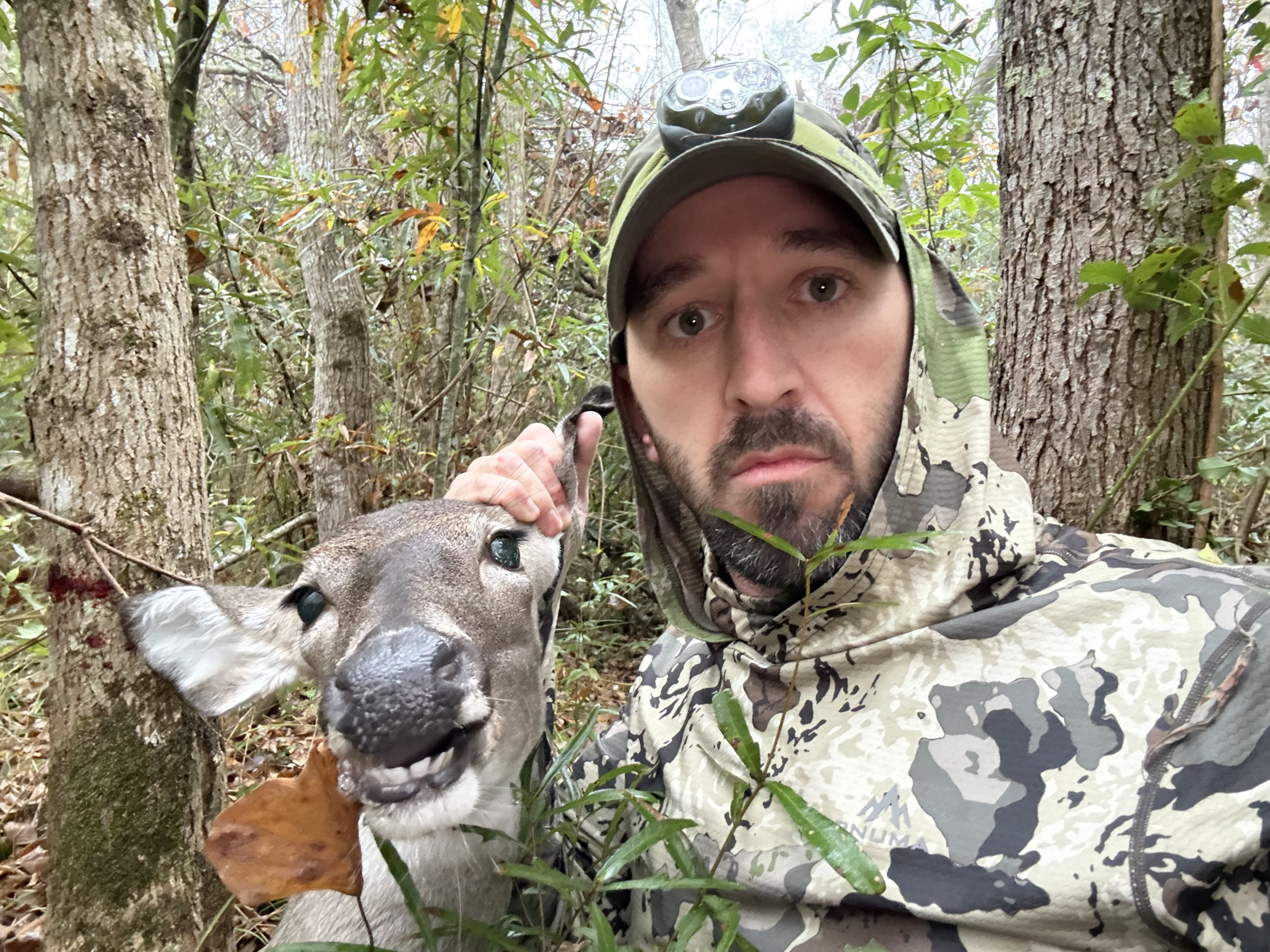 Deer Crusher Blank Meme Template