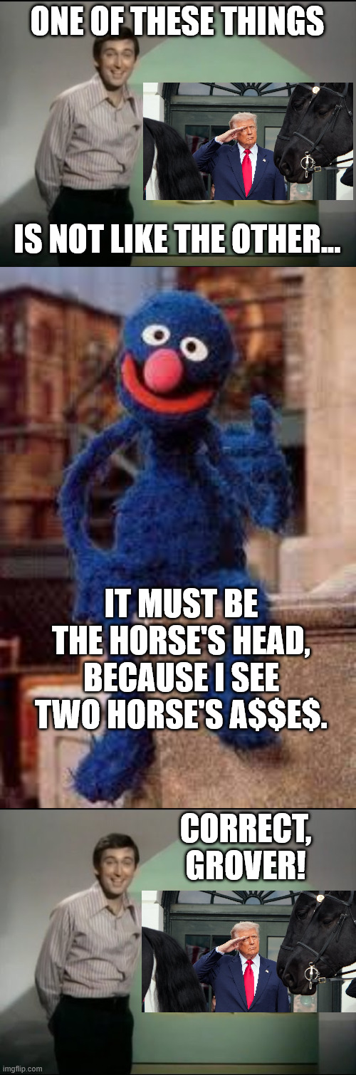 Alternate answer: Trump doesn't belong anywhere near the government. | ONE OF THESE THINGS; IS NOT LIKE THE OTHER... IT MUST BE THE HORSE'S HEAD, BECAUSE I SEE TWO HORSE'S A$$E$. CORRECT, GROVER! | image tagged in trump horse's ass | made w/ Imgflip meme maker