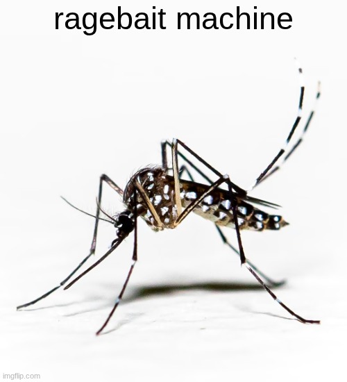 moreover, a very successful ragebait machine | ragebait machine | image tagged in fun | made w/ Imgflip meme maker