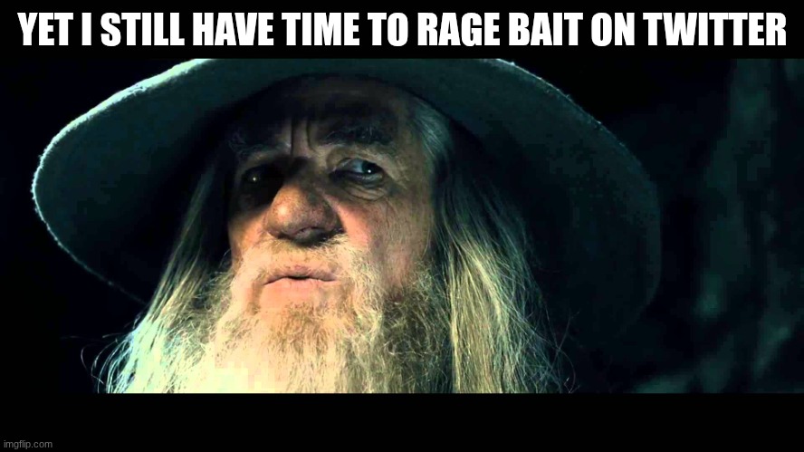 Gandalf no memory | YET I STILL HAVE TIME TO RAGE BAIT ON TWITTER | image tagged in gandalf no memory | made w/ Imgflip meme maker