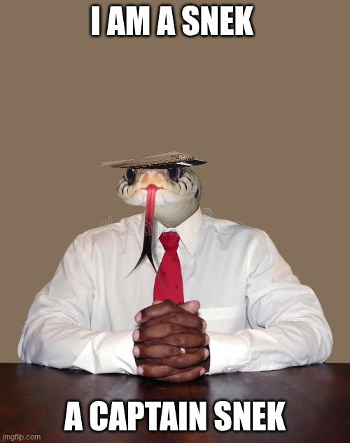 Business snake | I AM A SNEK; A CAPTAIN SNEK | image tagged in business snake | made w/ Imgflip meme maker