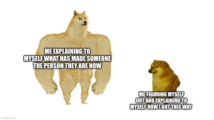 Day 4 of making a meme from a random template | ME EXPLAINING TO MYSELF WHAT HAS MADE SOMEONE THE PERSON THEY ARE NOW; ME FIGURING MYSELF OUT AND EXPLAINING TO MYSELF HOW I GOT THIS WAY | image tagged in dodge chad vs virgin | made w/ Imgflip meme maker