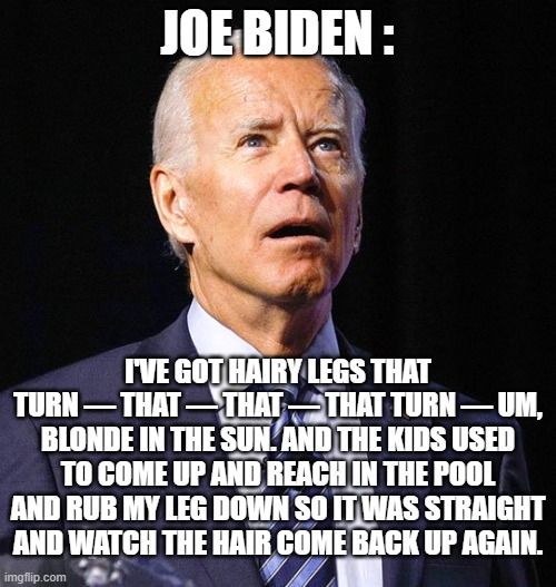 Joe Biden | JOE BIDEN : I'VE GOT HAIRY LEGS THAT TURN — THAT — THAT — THAT TURN — UM, BLONDE IN THE SUN. AND THE KIDS USED TO COME UP AND REACH IN THE P | image tagged in joe biden | made w/ Imgflip meme maker