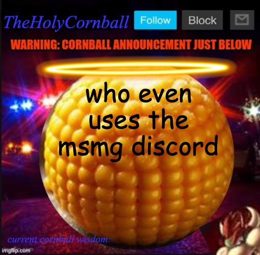 TheHolyCornball Announcement | who even uses the msmg discord | image tagged in theholycornball announcement | made w/ Imgflip meme maker