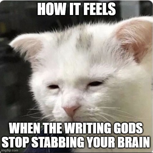 awake but at what cost | HOW IT FEELS; WHEN THE WRITING GODS STOP STABBING YOUR BRAIN | image tagged in awake but at what cost | made w/ Imgflip meme maker