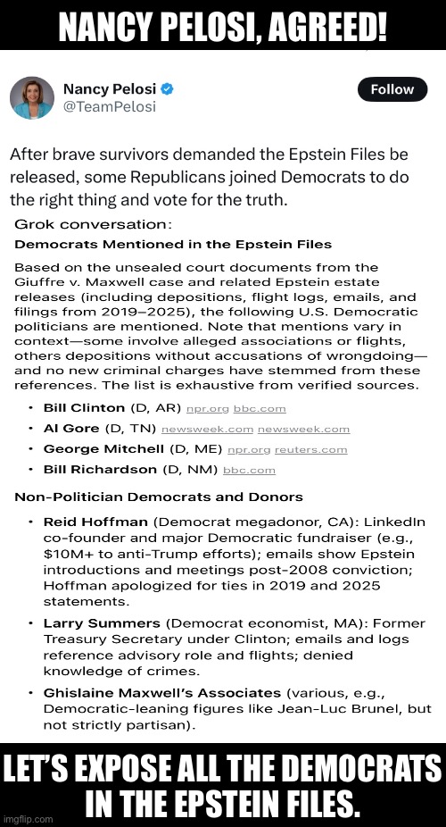Democrats in the Epstein files. | NANCY PELOSI, AGREED! LET’S EXPOSE ALL THE DEMOCRATS
IN THE EPSTEIN FILES. | image tagged in democrat party,democrats,jeffrey epstein,epstein,nancy pelosi,pelosi | made w/ Imgflip meme maker
