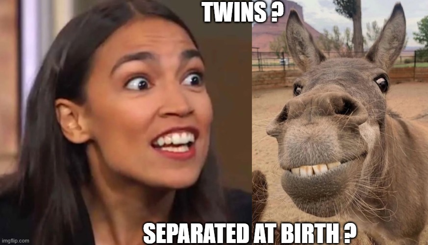 AOC Donkey Face | TWINS ? SEPARATED AT BIRTH ? | image tagged in twins | made w/ Imgflip meme maker