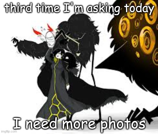 Forest birds | third time I'm asking today; I need more photos | image tagged in forest birds | made w/ Imgflip meme maker