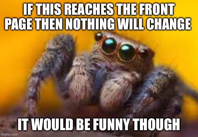 spider | IF THIS REACHES THE FRONT PAGE THEN NOTHING WILL CHANGE; IT WOULD BE FUNNY THOUGH | image tagged in spider | made w/ Imgflip meme maker