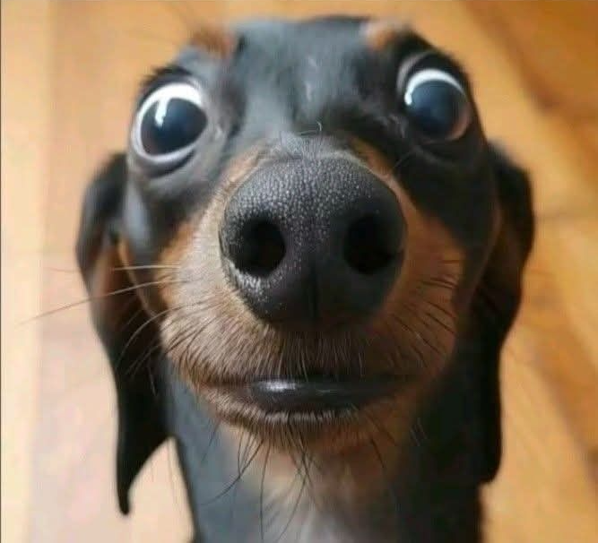 Chrisjoines1 Blank Meme Template