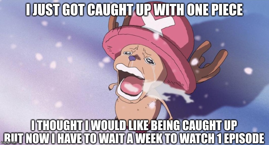 I have other things to watch but none of them are one piece so what's the point | I JUST GOT CAUGHT UP WITH ONE PIECE; I THOUGHT I WOULD LIKE BEING CAUGHT UP
BUT NOW I HAVE TO WAIT A WEEK TO WATCH 1 EPISODE | image tagged in one piece | made w/ Imgflip meme maker