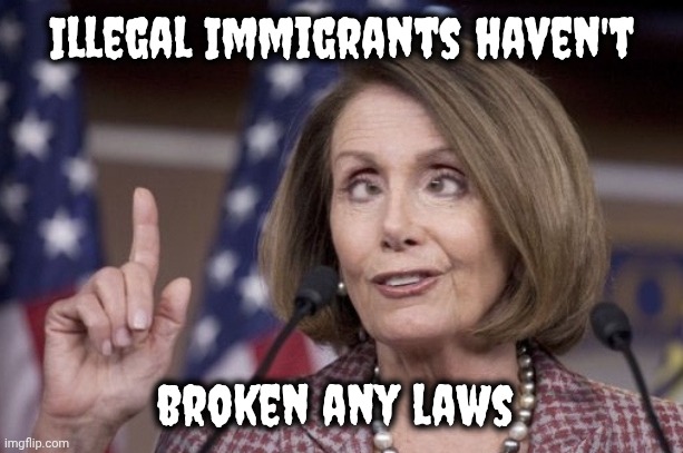 Nancy pelosi | Illegal Immigrants haven't broken any laws | image tagged in nancy pelosi | made w/ Imgflip meme maker