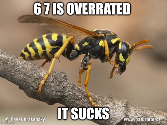 upvote if you agree lmao | 6 7 IS OVERRATED; IT SUCKS | image tagged in wasp | made w/ Imgflip meme maker