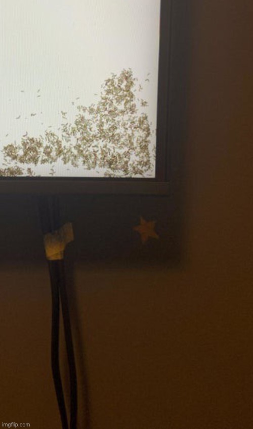 tv ants | image tagged in tv ants | made w/ Imgflip meme maker