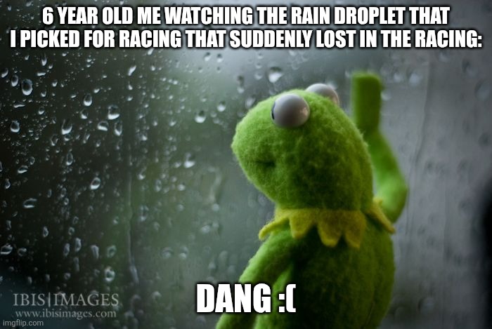 kermit window | 6 YEAR OLD ME WATCHING THE RAIN DROPLET THAT I PICKED FOR RACING THAT SUDDENLY LOST IN THE RACING:; DANG :( | image tagged in kermit window | made w/ Imgflip meme maker