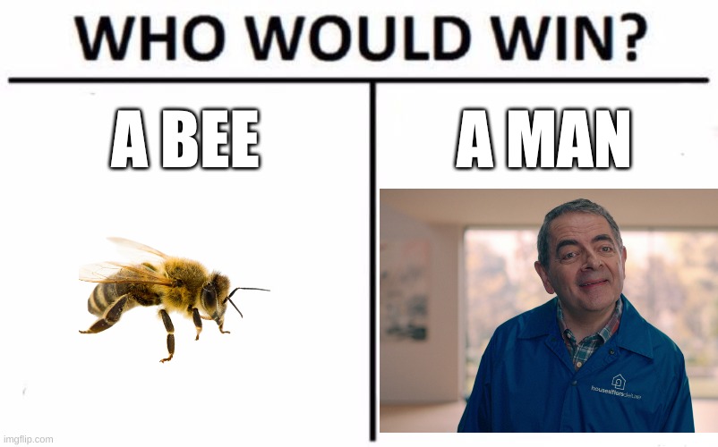 Who Would Win? | A BEE; A MAN | image tagged in memes,who would win,fun | made w/ Imgflip meme maker