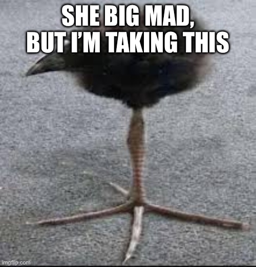 Tripod Bird | SHE BIG MAD, BUT I’M TAKING THIS | image tagged in tripod bird | made w/ Imgflip meme maker