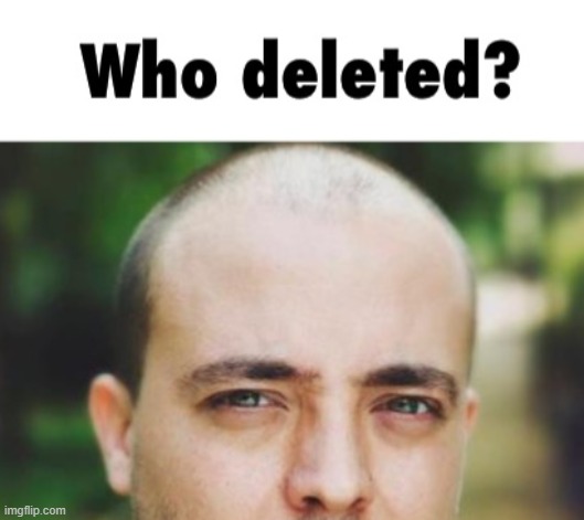 Who deleted? | image tagged in who deleted | made w/ Imgflip meme maker